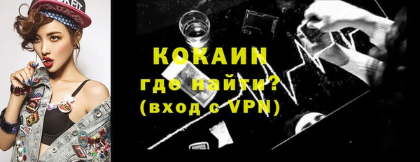 дживик Бородино