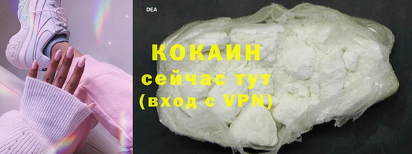 дживик Бородино
