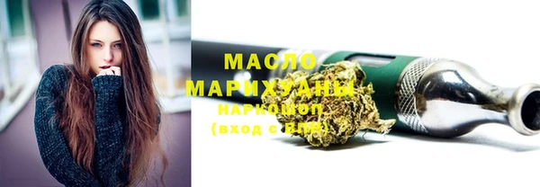 дживик Бородино