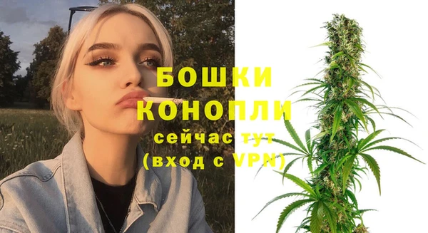 дживик Бородино