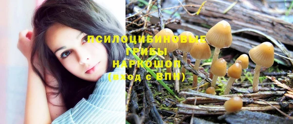 дживик Бородино