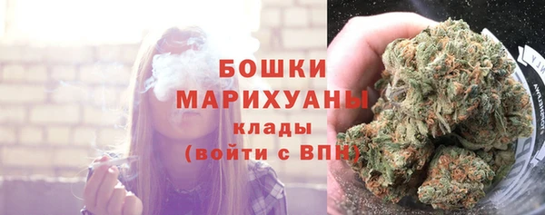 дживик Бородино