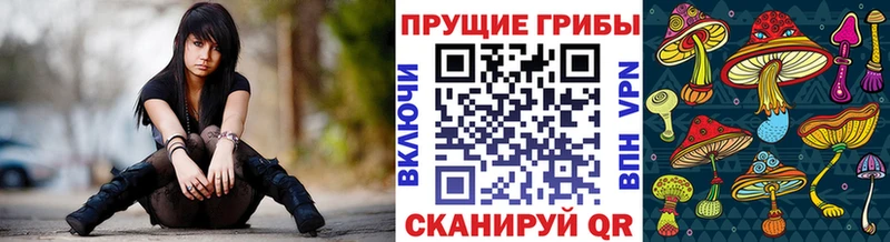 Псилоцибиновые грибы Psilocybine cubensis  даркнет сайт  Среднеуральск 